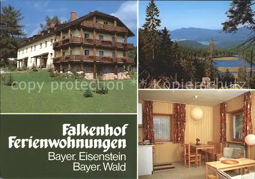 Bayrisch Eisenstein Ferienwohnungen Falkenhof Kat. Bayerisch Eisenstein