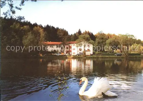 Hildburghausen Gasthaus Cafe am Schwanenteich Schwan Kat. Hildburghausen