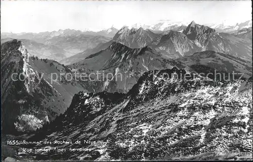 Rochers de Naye  Kat. Rochers de Naye