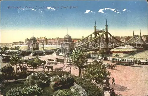 Budapest Franz Josefs Bruecke Strassenbahn Pferdekutschen Kat. Budapest