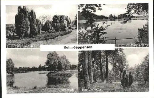 Holm Seppensen Buesenbachtal Muehlenteich Forst Lohbergen Badeteich Kat. Buchholz in der Nordheide