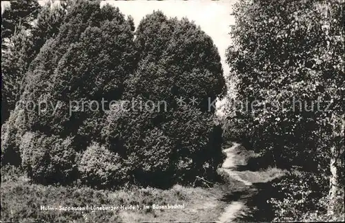 Holm Seppensen Buesenbachtal Kat. Buchholz in der Nordheide