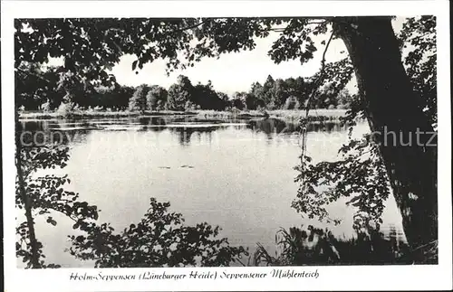 Holm Seppensen Muehlenteich Kat. Buchholz in der Nordheide