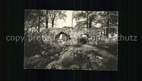 Eschershausen Holzminden Homburg Ruine / Eschershausen /Holzminden LKR