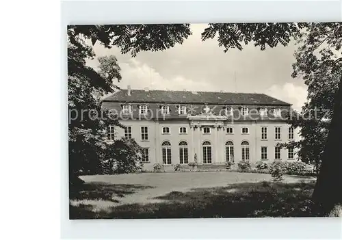 Mosigkau Museum Schloss Kat. Dessau Rosslau