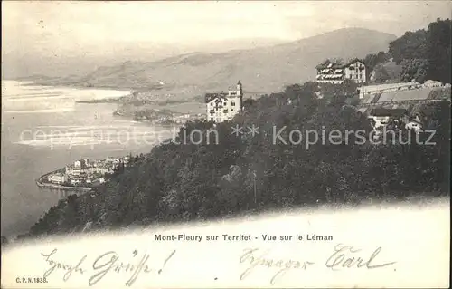 Montfleur sur Territet Vue sur le Leman Kat. Montfleur