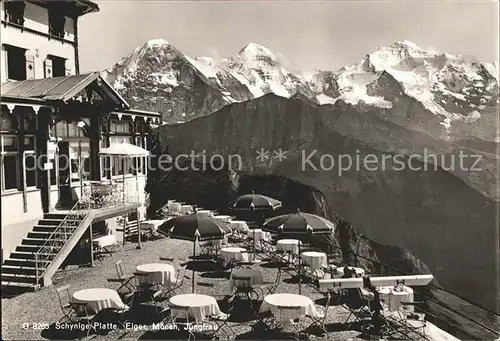 Schynige Platte Terrasse Eiger Moench Jungfrau Kat. Schynige Platte