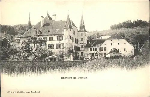 Peseux NE Chateau de Peseux Kat. Peseux