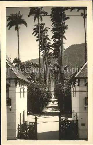 Rio de Janeiro Jardim Botanico Kat. Rio de Janeiro