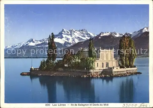 Lac Leman Genfersee Ile de Salagnon et Dents du Midi / Genf /Bz. Geneve City