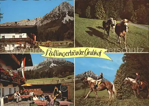 Ellmau Tirol Haflingertraenke Grubhof Reiter Haflinger Kat. Ellmau