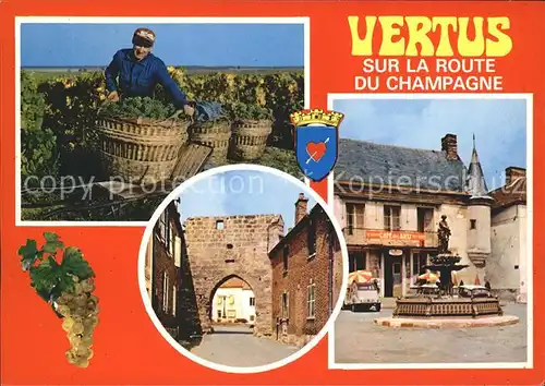 Vertus Vendanges Porte Baudet Fontaine du Vigneron Kat. Vertus