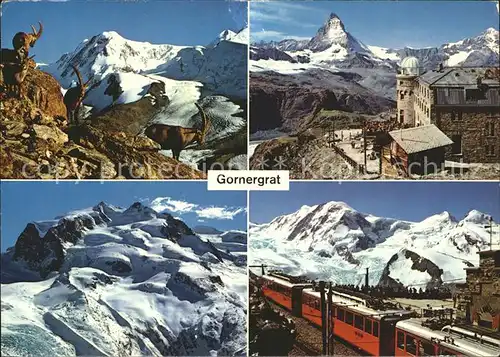 Gornergrat Zermatt Hotel Gornergrat Matterhorn Monte Rosa / Gornergrat /Rg. Zermatt