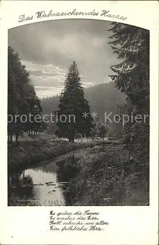 Hohegeiss Harz Wahrzeichen Harzes Gedicht Teich Wald Kat. Braunlage