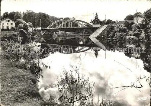 Remiremont Vosges Pont Le Prieur sur la Moselle Kat. Remiremont