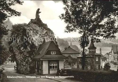 Ruebeland Harz Hoehlenbaer Eingang Hermannshoehle / Elbingerode Harz /Harz LKR