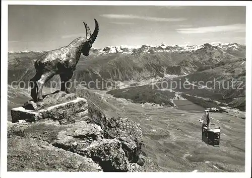 Piz Nair Pitschen Luftseilbahn Bergziege Kat. Piz Nair Pitschen