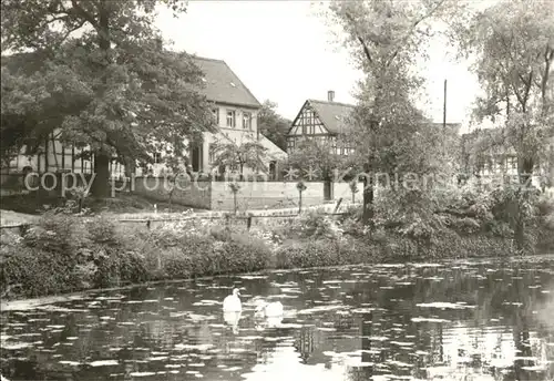 Weissbach Stadtroda Schwanenteich Kat. Weissbach Stadtroda