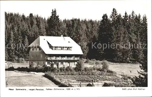 Falkau Haus Sonnwaerts Kat. Feldberg (Schwarzwald)