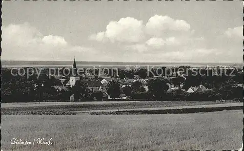 Dielingen Panorama Kat. Stemwede