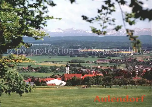 Aulendorf Gesamtansicht mit Alpenblick Kat. Aulendorf