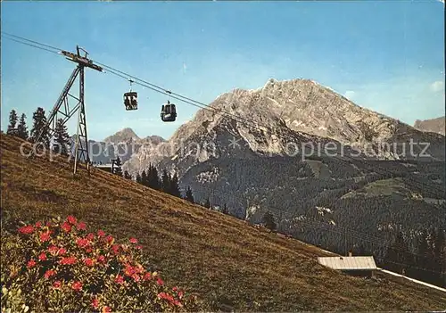 Berchtesgaden Jennerbahn Bergbahn Alpenflora Alpenpanorama Kat. Berchtesgaden