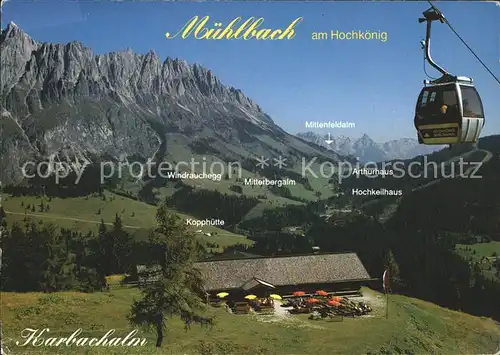 Muehlbach Hochkoenig Karbachalm Alpenpanorama Bergbahn Wanderparadies Schneeberg Kat. Muehlbach am Hochkoenig