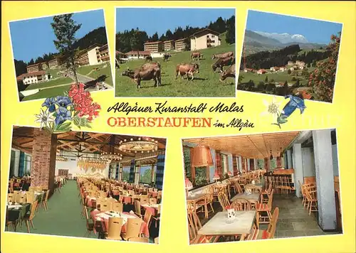 Oberstaufen Allgaeuer Kuranstalt Malas Restaurant Blumen Kuehe Kat. Oberstaufen