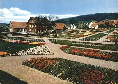 Deckbergen Essmannshof Blumenschau Tulpen Dahlien Gladiolen Kat. Rinteln