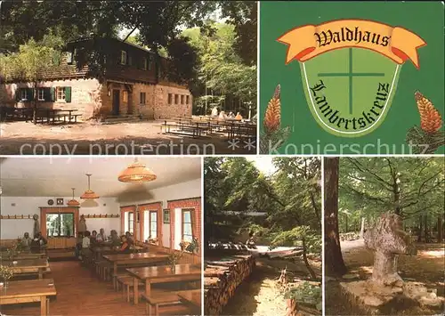 Neidenfels Pfalz Waldhaus Lambertskreuz Kat. Neidenfels