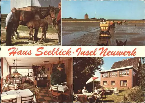 Insel Neuwerk Haus Seeblick Pferde  Kat. Hamburg