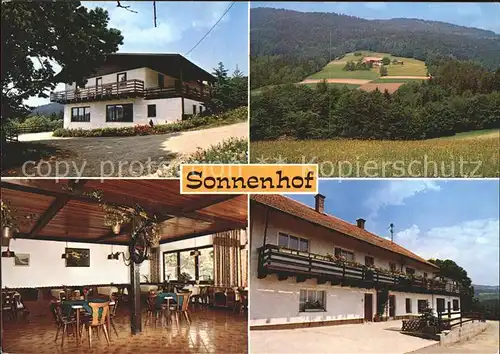 Sonnhofen Kuenzelsau Pension Berg Wald  Kat. Kuenzelsau