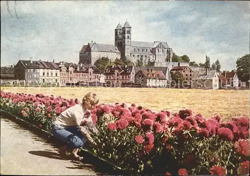 Quedlinburg Blumen Burg Kat. Quedlinburg