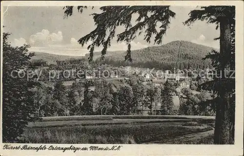 Baerenfels Erzgebirge Ortsansicht Kat. Altenberg