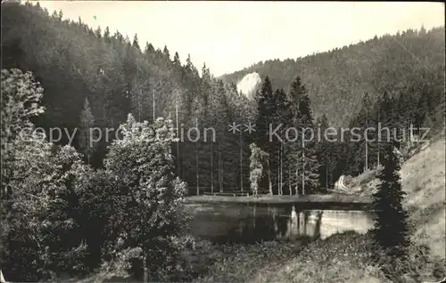 Oberhof Thueringen Silberteich Kat. Oberhof Thueringen