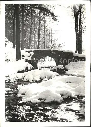 Finsterbergen Bruecke Wald Kat. Finsterbergen Thueringer Wald