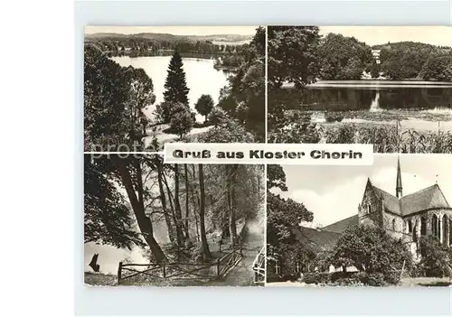 Chorin Kloster See Wald Kat. Chorin