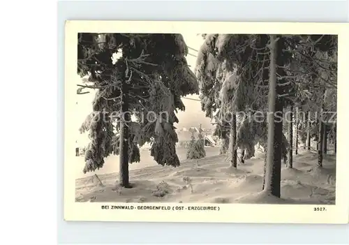 Zinnwald Georgenfeld Walddurchblick Kat. Altenberg