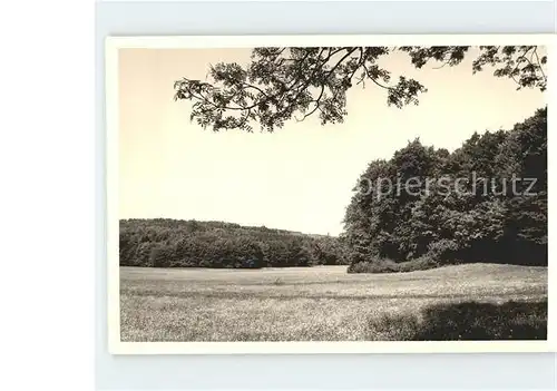 Bad Schussenried Aussicht vom Waldbank  Kat. Bad Schussenried