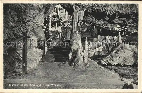 Ruebeland Harz Baumannshoehle Waechter / Elbingerode Harz /Harz LKR