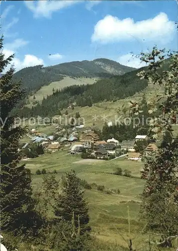 Menzenschwand Panorama Kat. St. Blasien