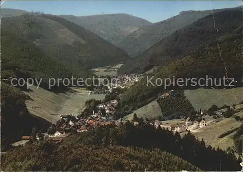 Sieber Blick vom Lilienberg ins Siebertal Kat. Herzberg am Harz