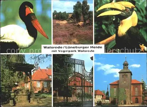Walsrode Lueneburger Heide Vogelpark  Teilansichten Kat. Walsrode
