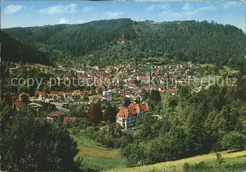 Bad Liebenzell mit Burg Kat. Bad Liebenzell