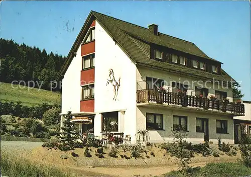 Wilfingen Pension Roenick Ettelsberger Hof Kat. Dachsberg