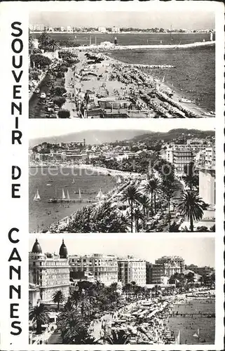 Cannes Alpes Maritimes Vues d ensembles Plage Promenade Palmiers Kat. Cannes