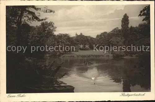 Essen Ruhr Stadtgartenteich Schwan Kat. Essen