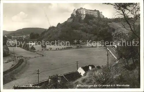 Altleiningen Burgruine Kat. Altleiningen