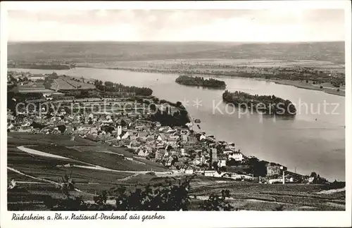 Ruedesheim Rhein vom National Denkmal gesehen Kat. Ruedesheim am Rhein