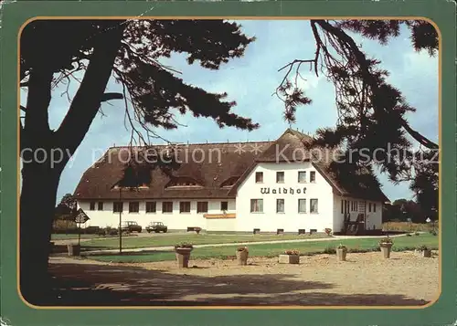 Trassenheide Usedom Hotel Ferienanlage Waldhof Kat. Trassenheide